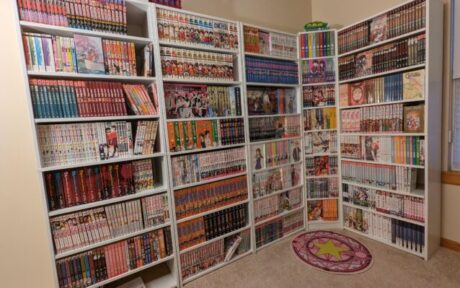 Manga Preservation Storage Methods