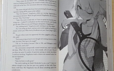 Cara Membaca Light Novel untuk Pemula yang Baru Pertama Kali!