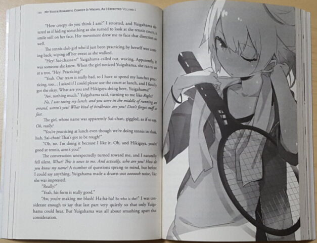 Cara Membaca Light Novel untuk Pemula yang Baru Pertama Kali!